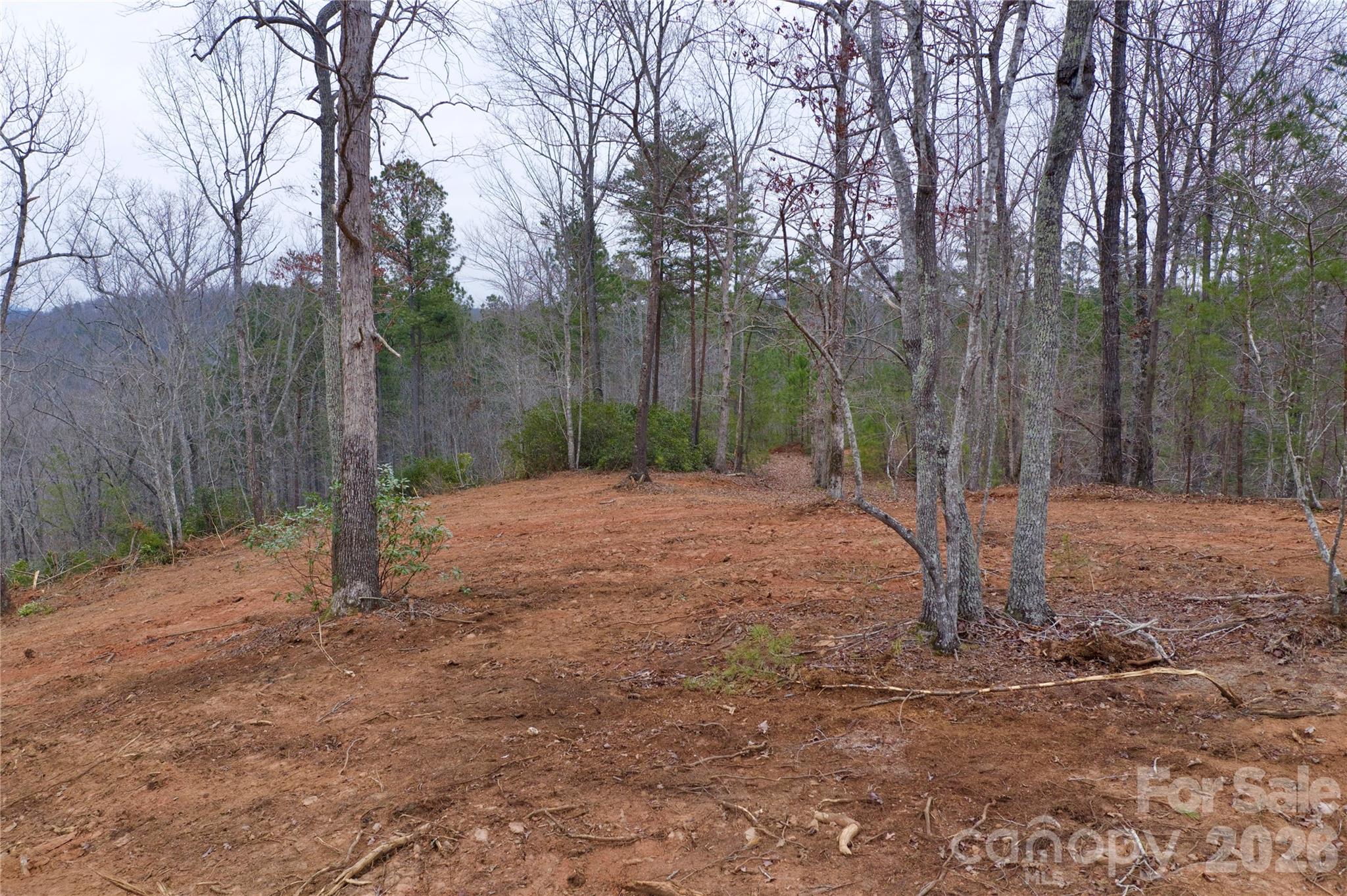 1140 Highway 9 Highway Mill Spring NC 28756