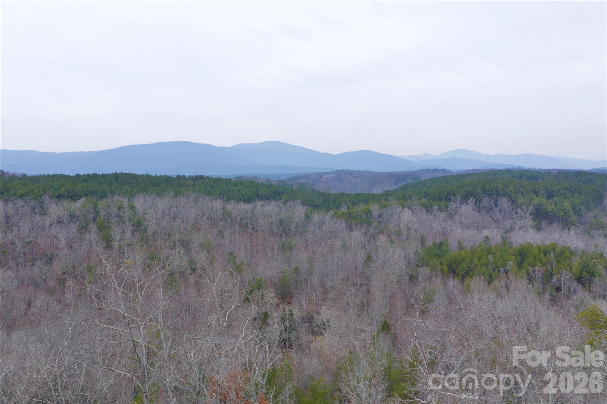 1140 Highway 9 Highway Mill Spring NC 28756