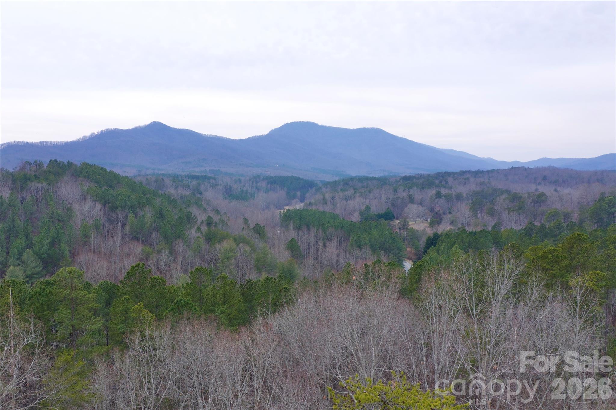1140 Highway 9 Highway Mill Spring NC 28756
