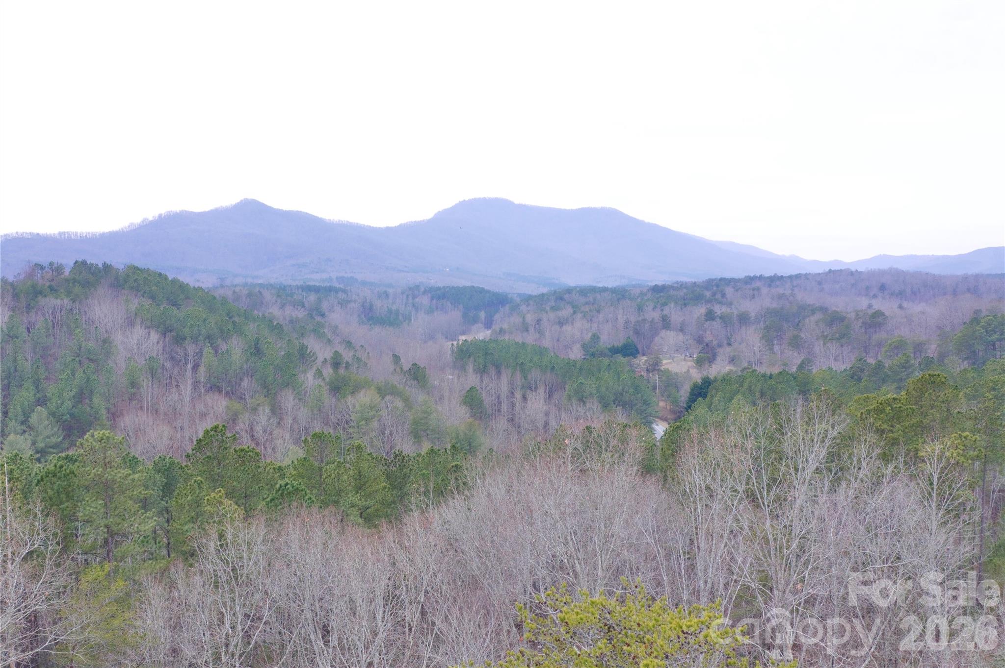 1140 Highway 9 Highway Mill Spring NC 28756