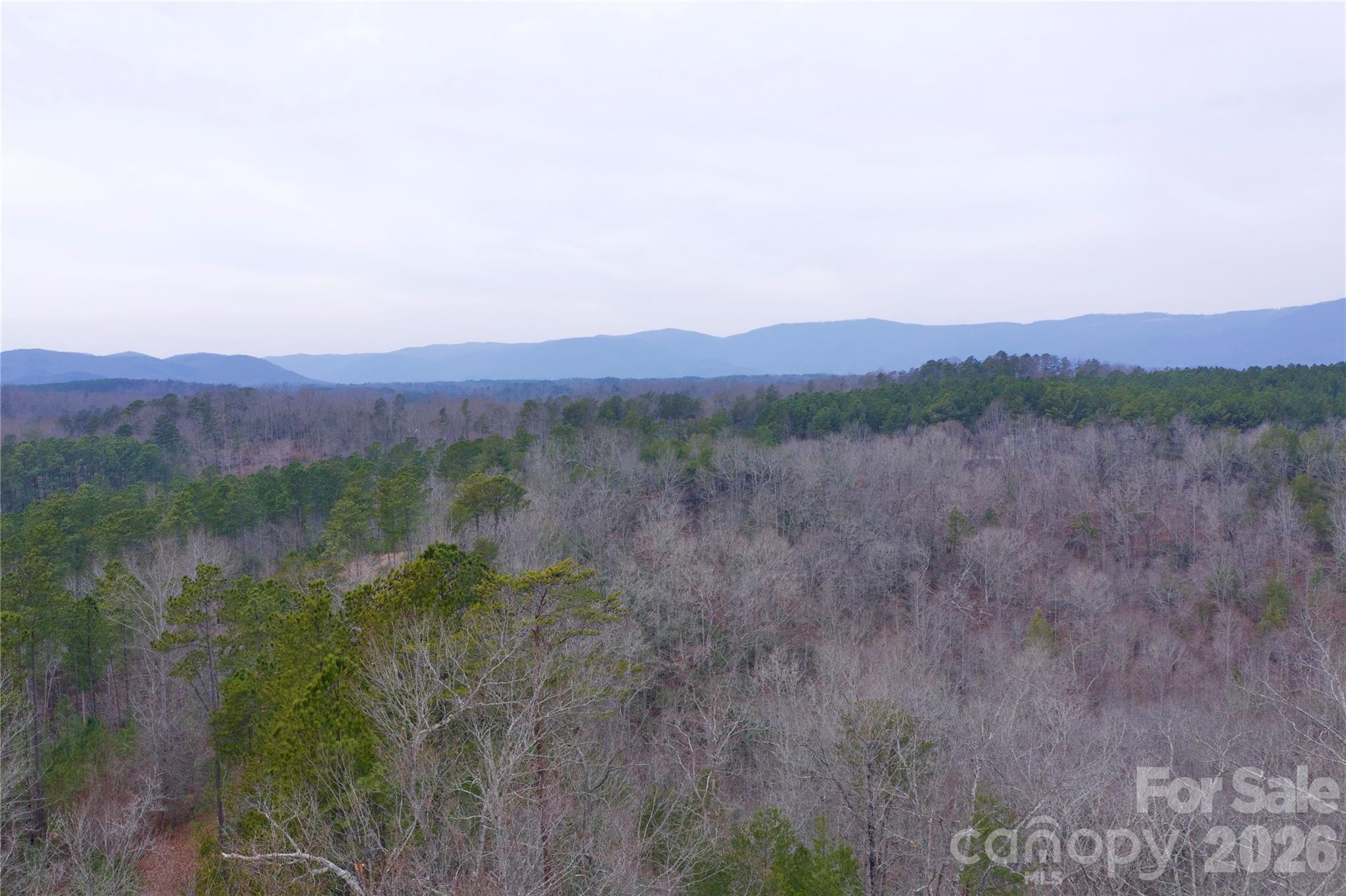 1140 Highway 9 Highway Mill Spring NC 28756