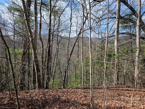 00 Wispy Willow Drive Waynesville NC 28785
