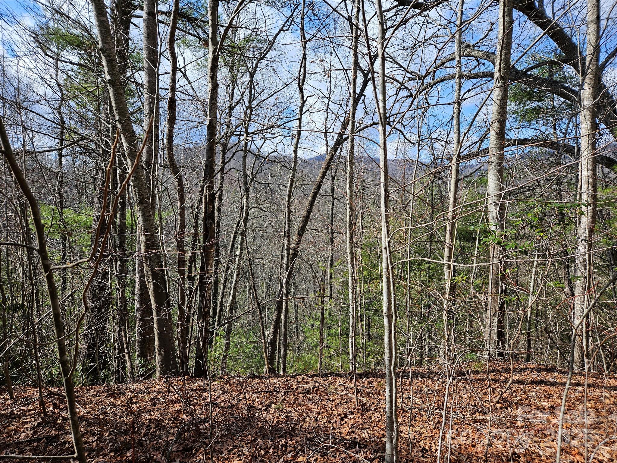 00 Wispy Willow Drive Waynesville NC 28785