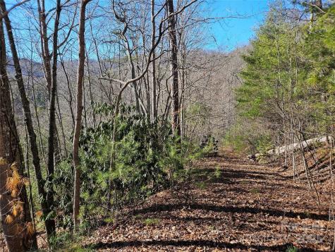 00 Wispy Willow Drive Waynesville NC 28785