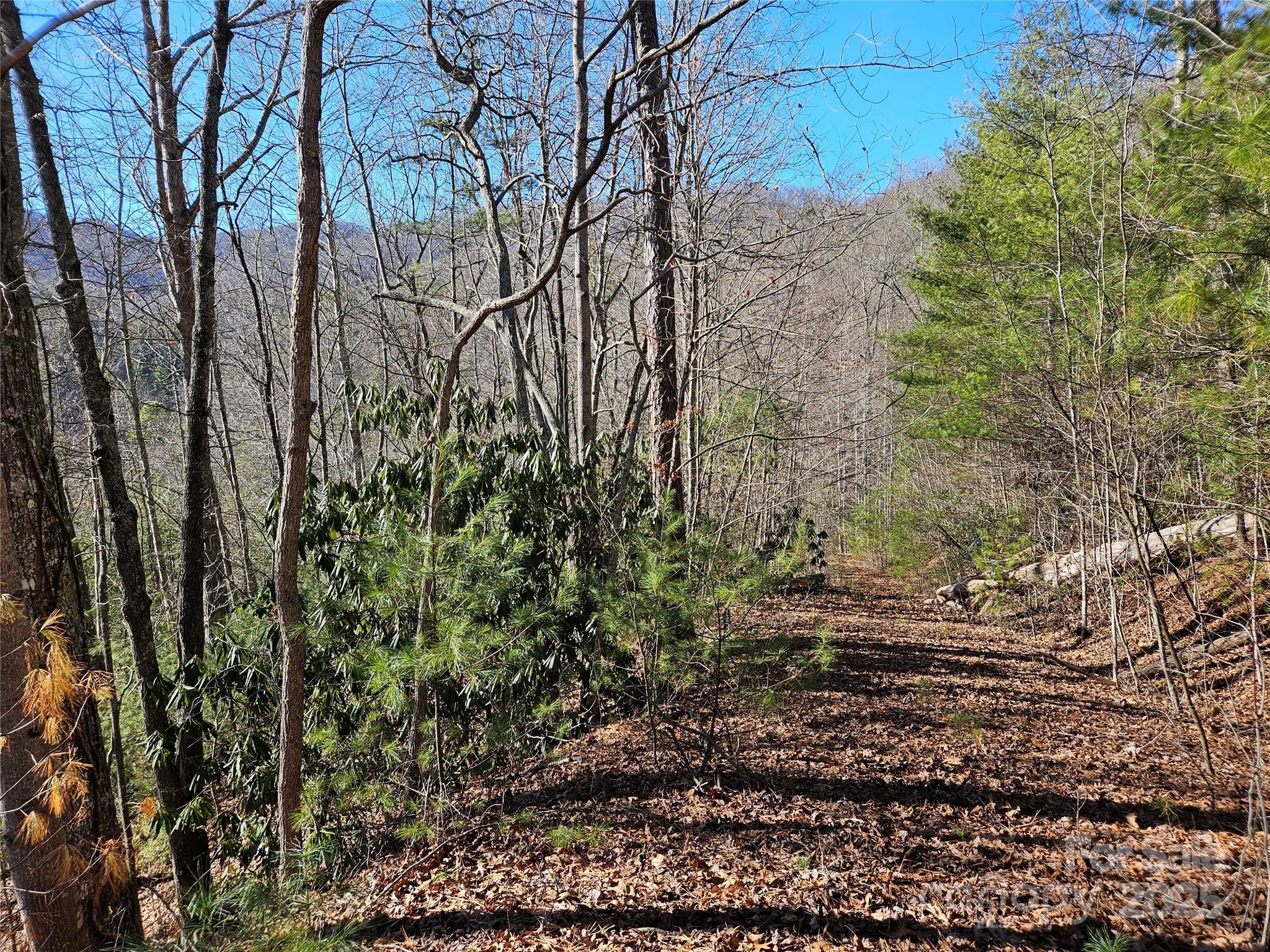 00 Wispy Willow Drive Waynesville NC 28785