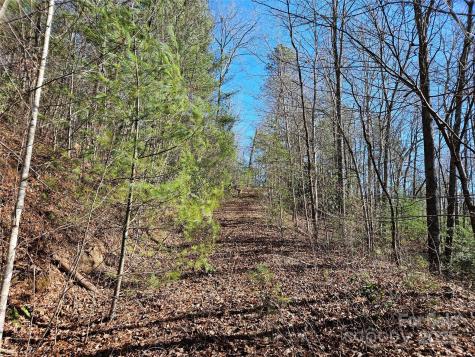 00 Wispy Willow Drive Waynesville NC 28785
