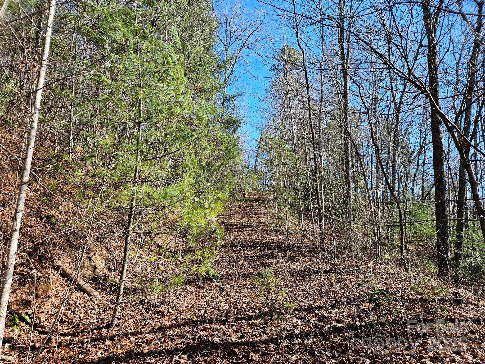00 Wispy Willow Drive Waynesville NC 28785
