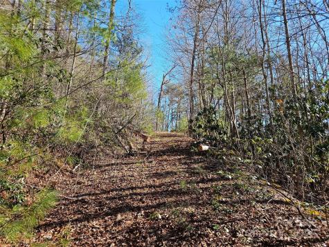 00 Wispy Willow Drive Waynesville NC 28785