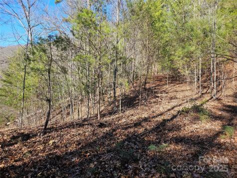 00 Wispy Willow Drive Waynesville NC 28785