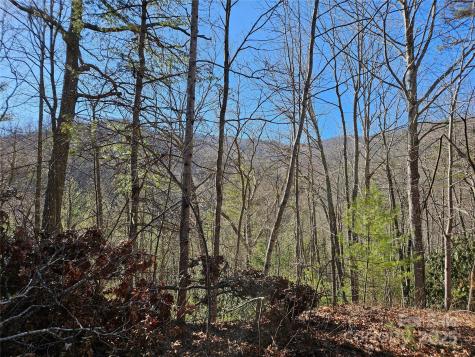 00 Wispy Willow Drive Waynesville NC 28785