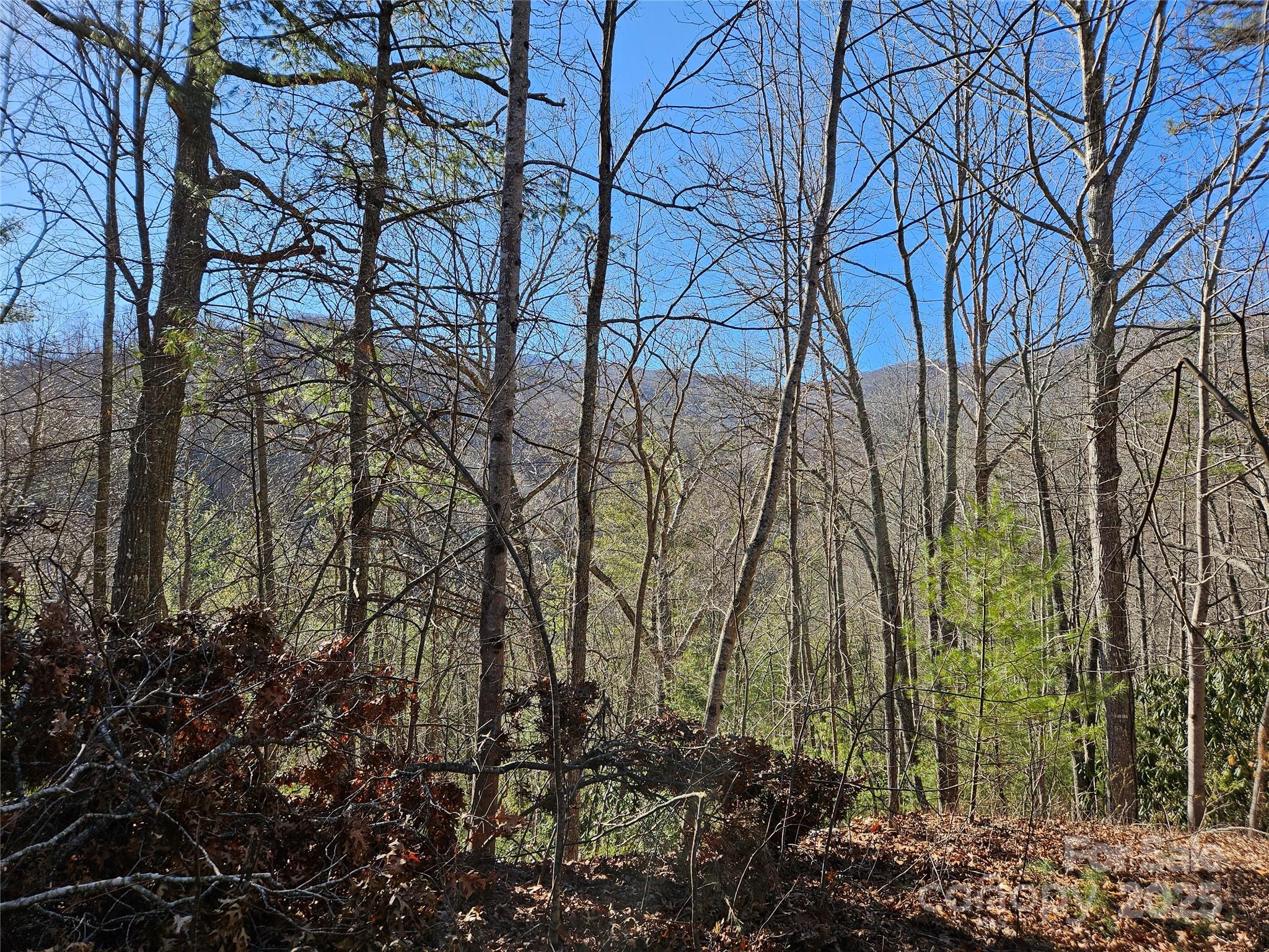 00 Wispy Willow Drive Waynesville NC 28785