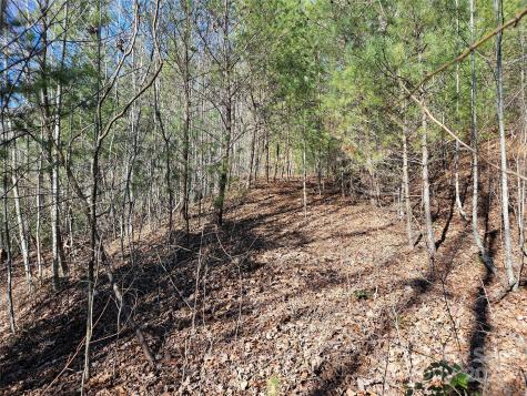 00 Wispy Willow Drive Waynesville NC 28785