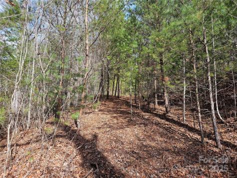 00 Wispy Willow Drive Waynesville NC 28785