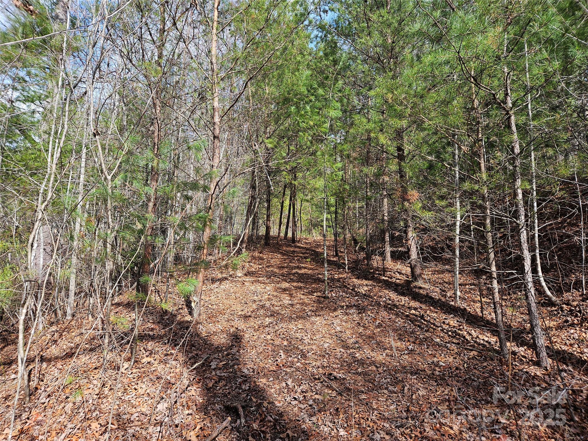 00 Wispy Willow Drive Waynesville NC 28785