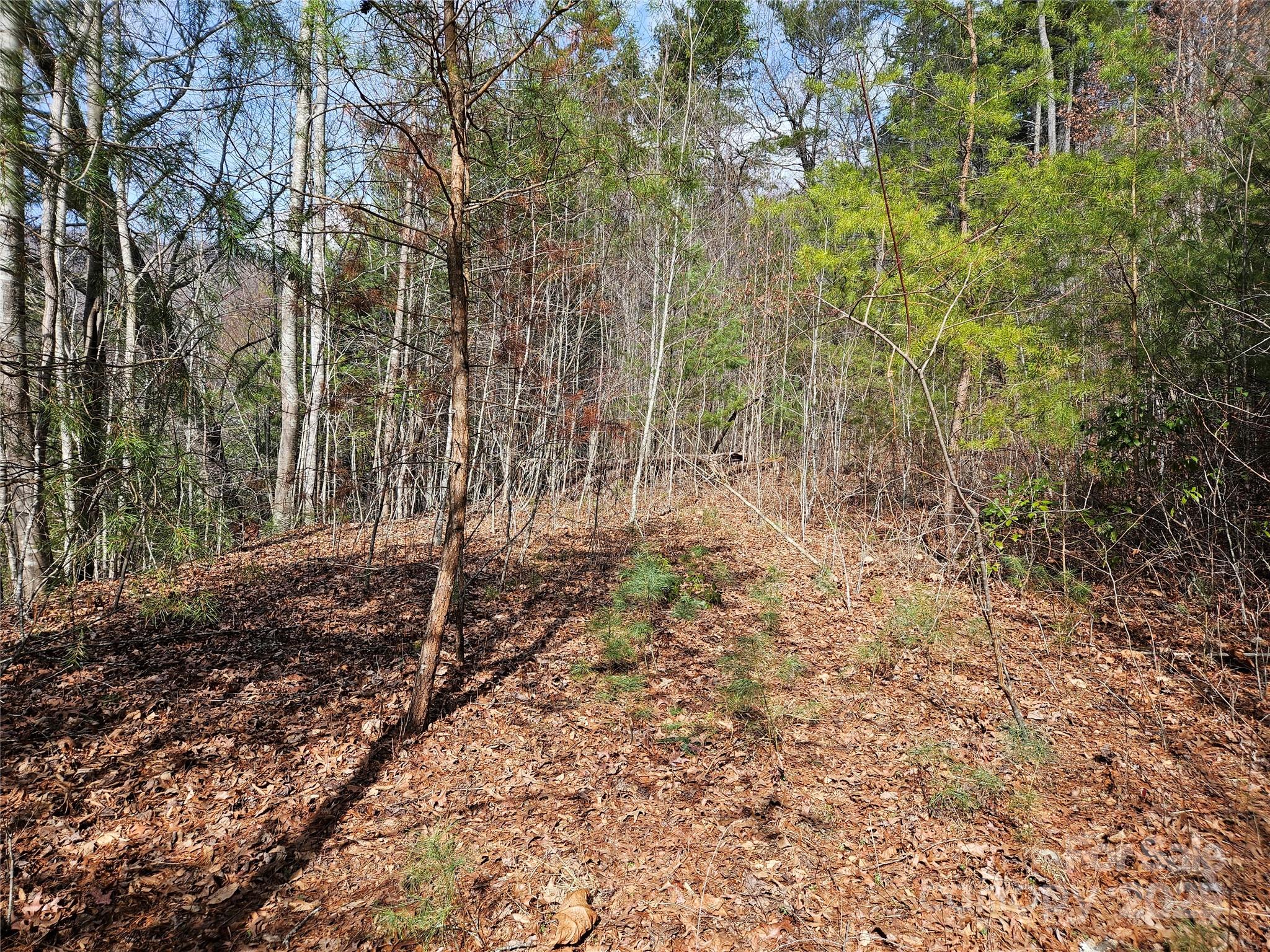 00 Wispy Willow Drive Waynesville NC 28785