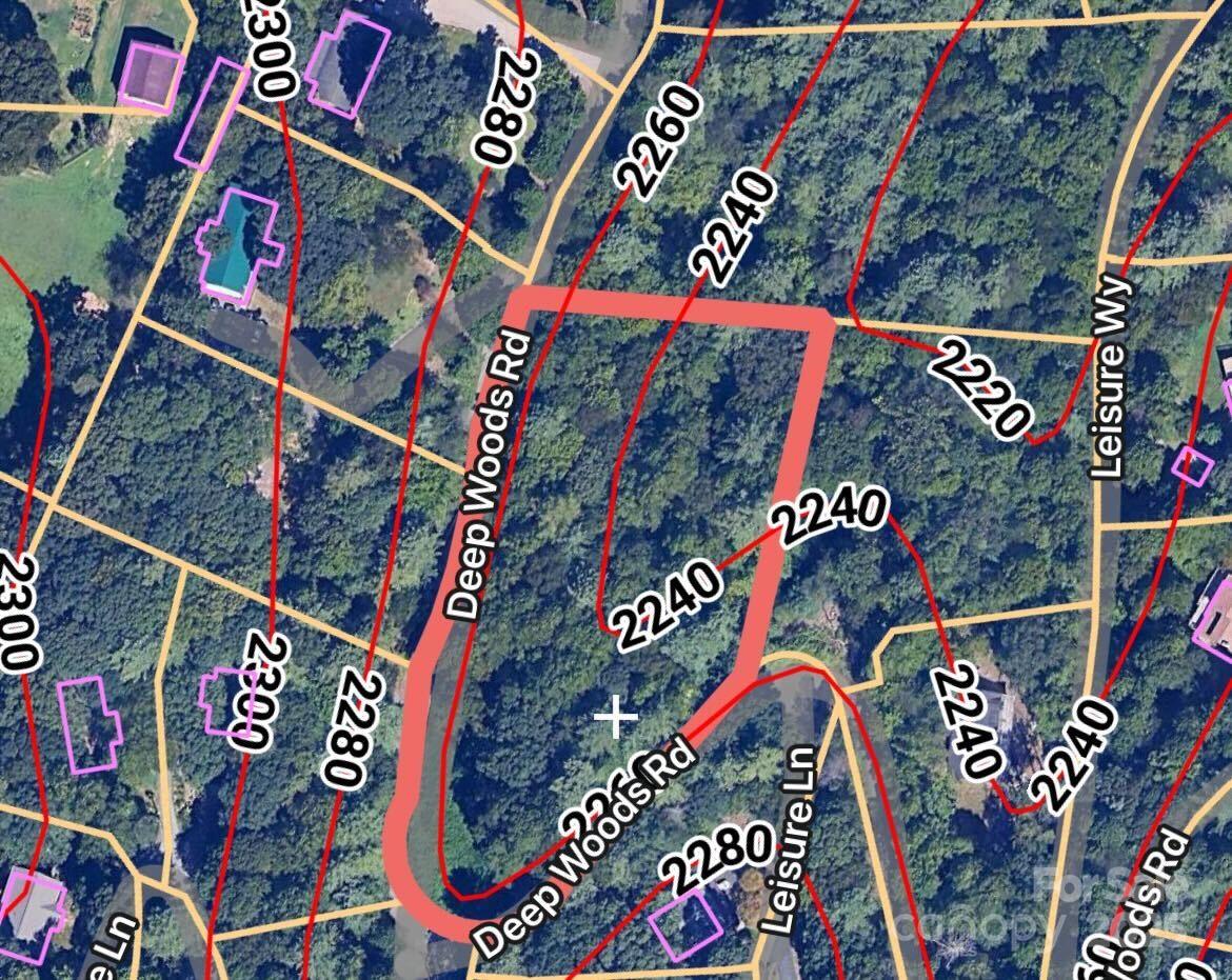99999 Deep Woods Road Weaverville NC 28787