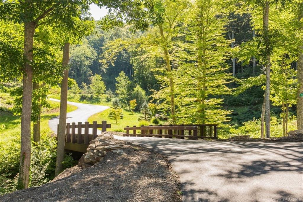 14 Bartrams Walk Drive Asheville NC 28804