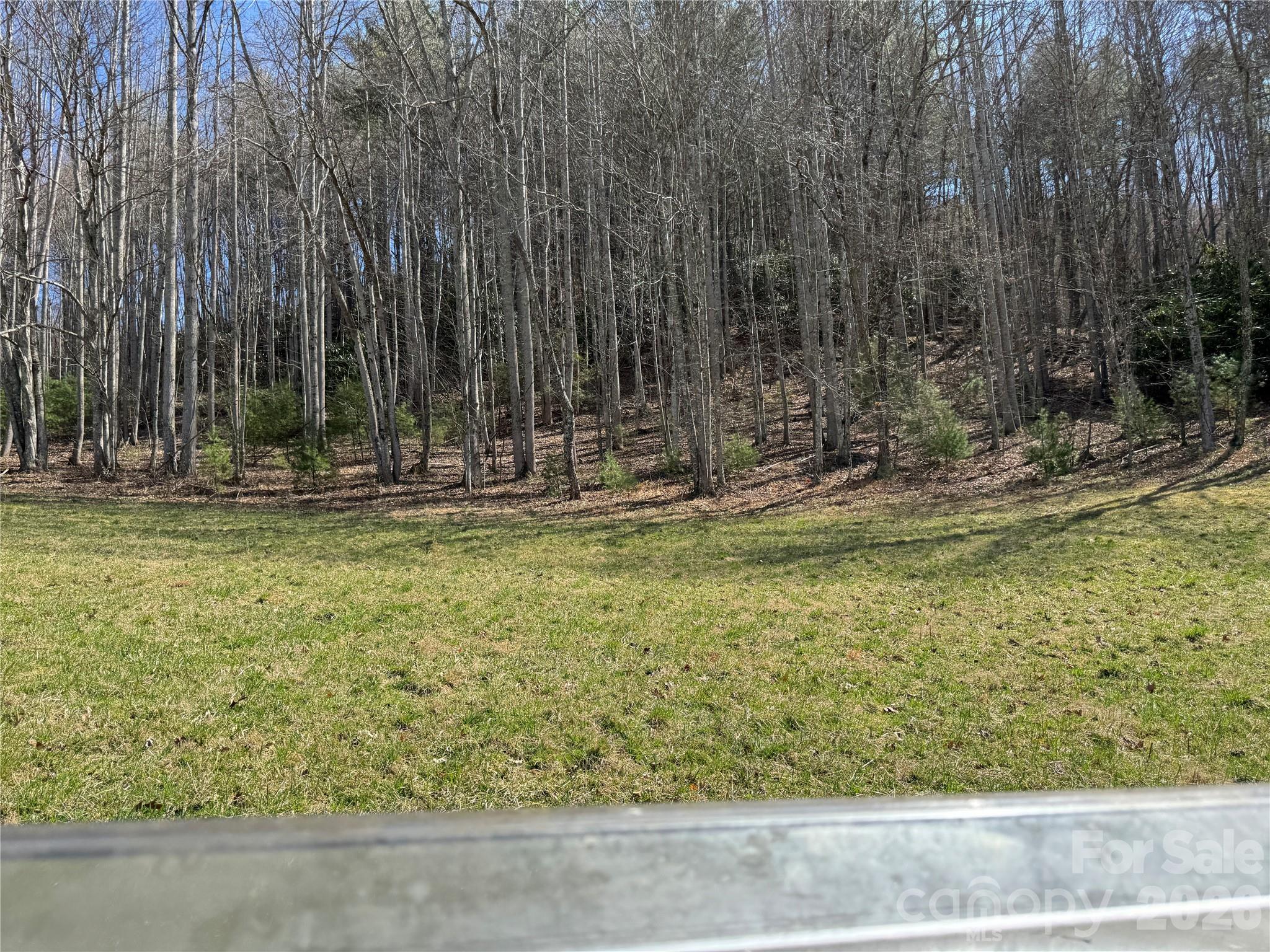 270 Anielee Lane Clyde NC 28721