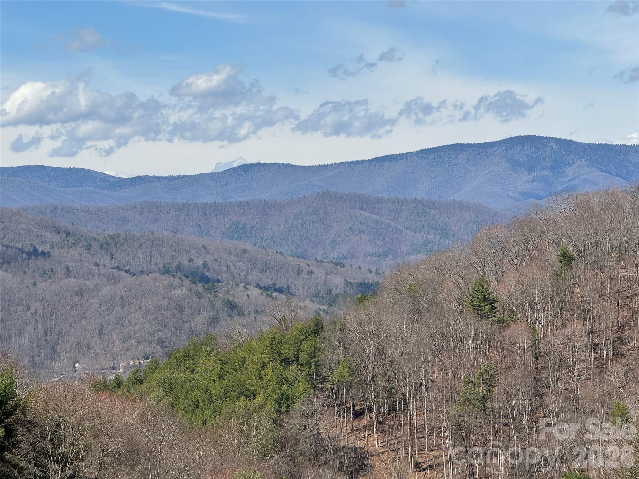 270 Anielee Lane Clyde NC 28721