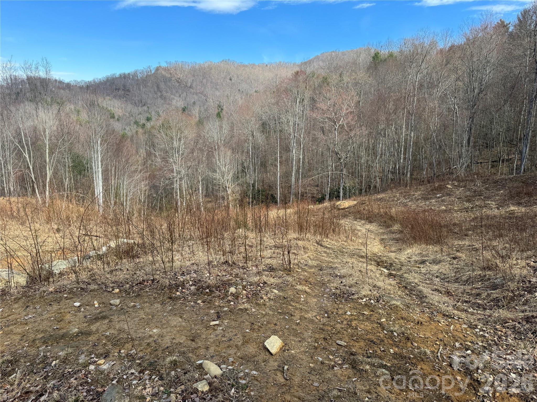 270 Anielee Lane Clyde NC 28721
