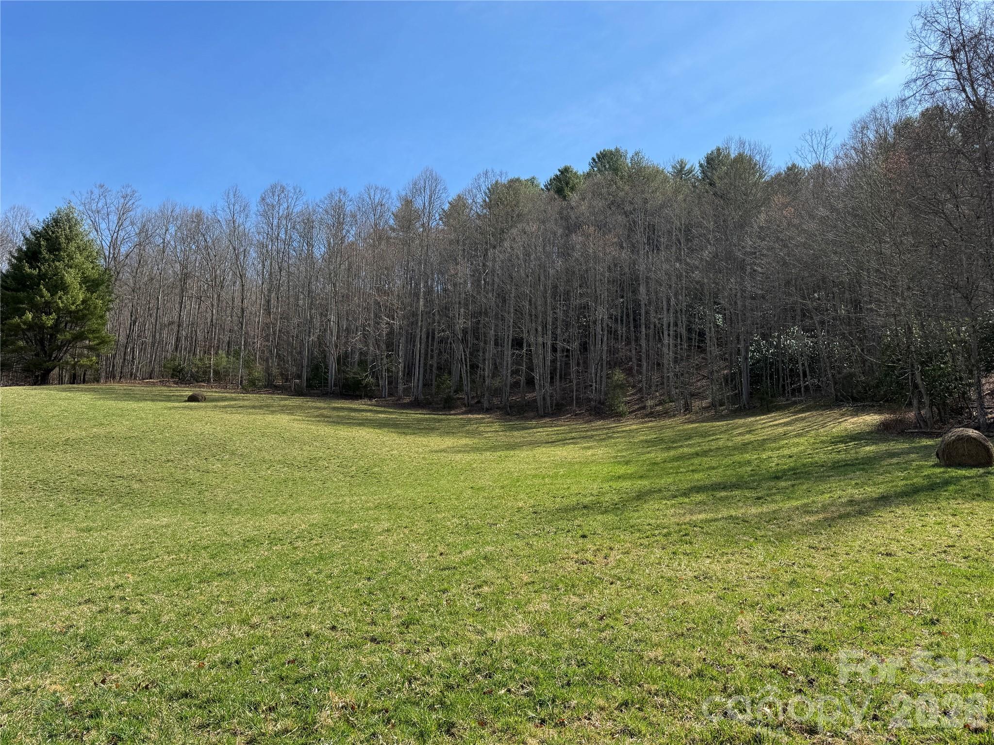 270 Anielee Lane Clyde NC 28721