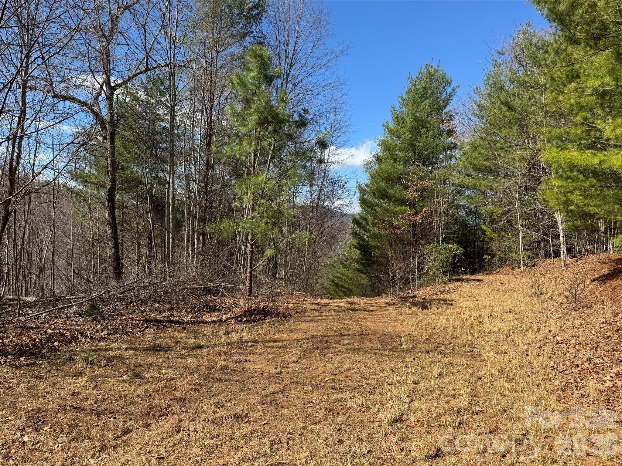 270 Anielee Lane Clyde NC 28721