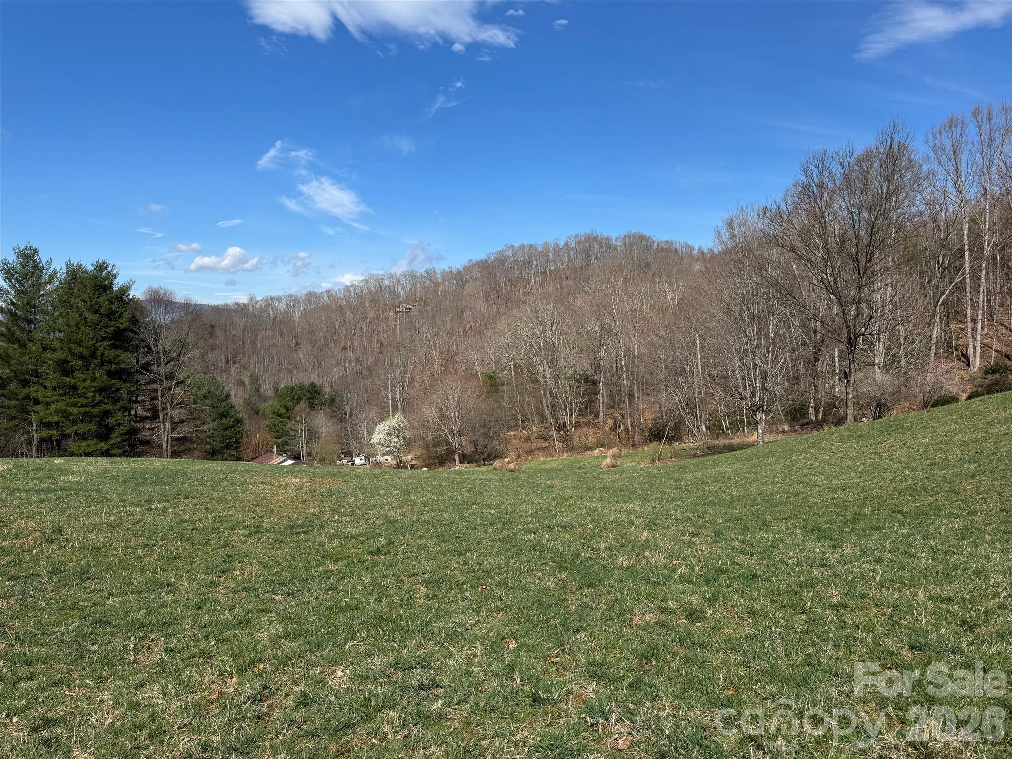 270 Anielee Lane Clyde NC 28721