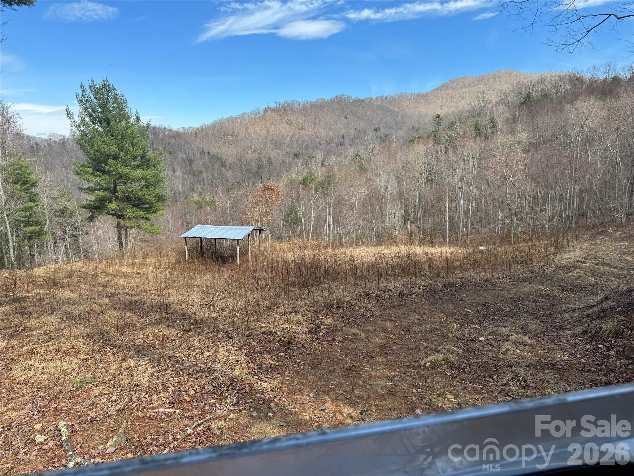 270 Anielee Lane Clyde NC 28721