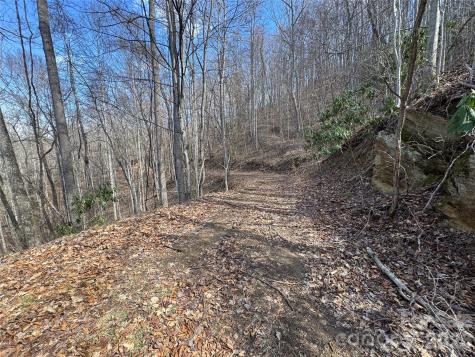 270 Anielee Lane Clyde NC 28721