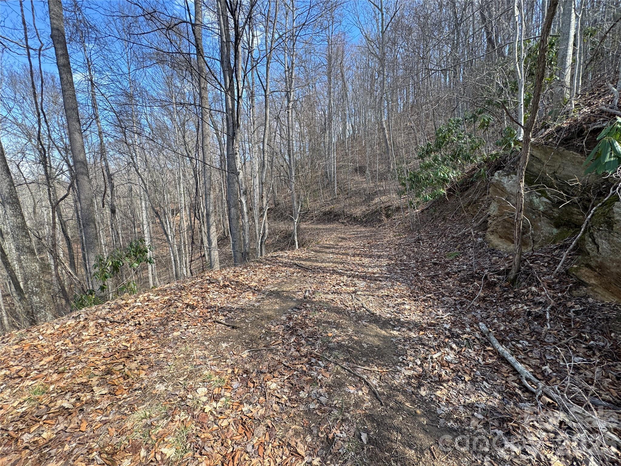 270 Anielee Lane Clyde NC 28721