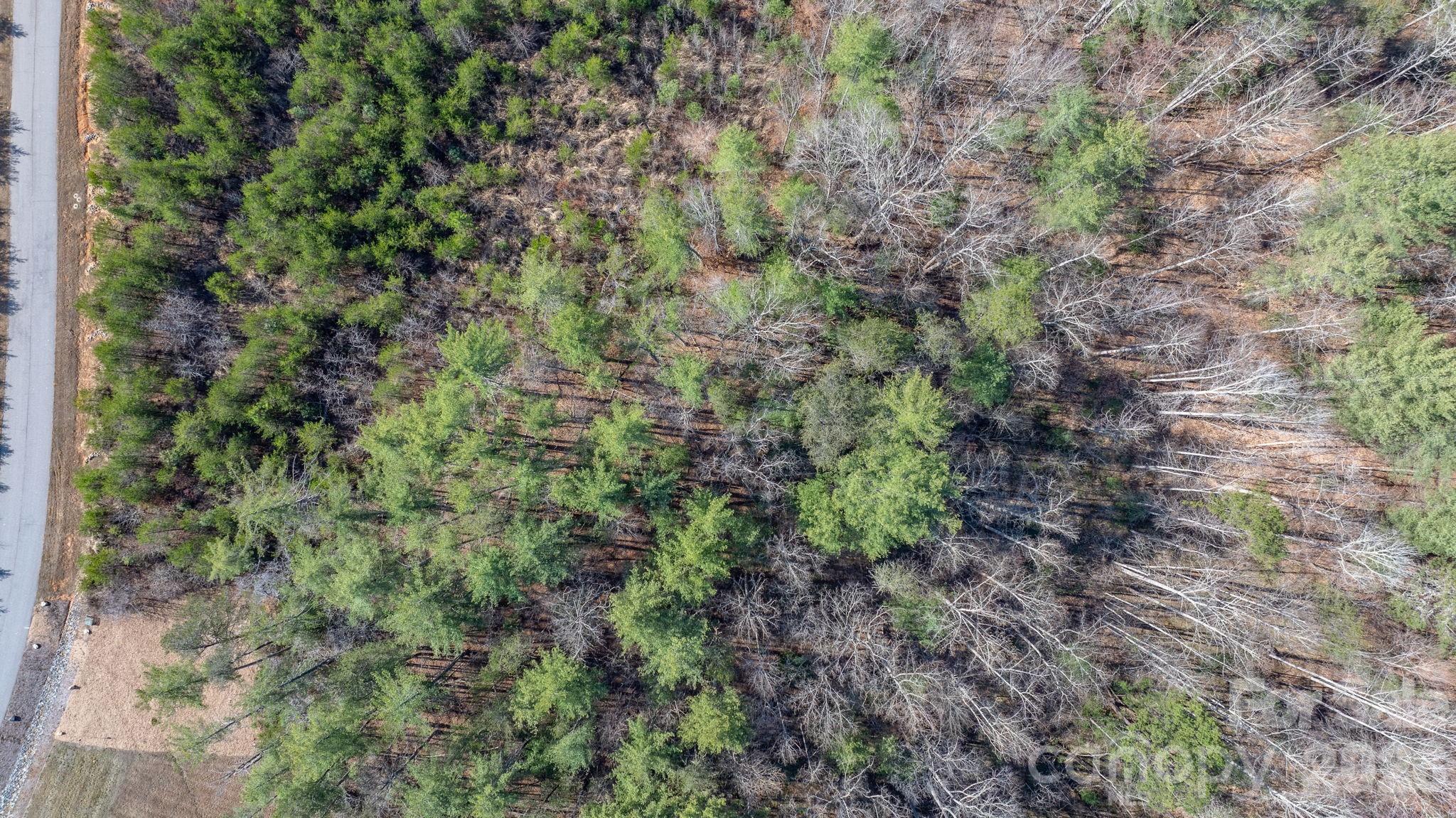 2084 Starlight Lane Morganton NC 28655