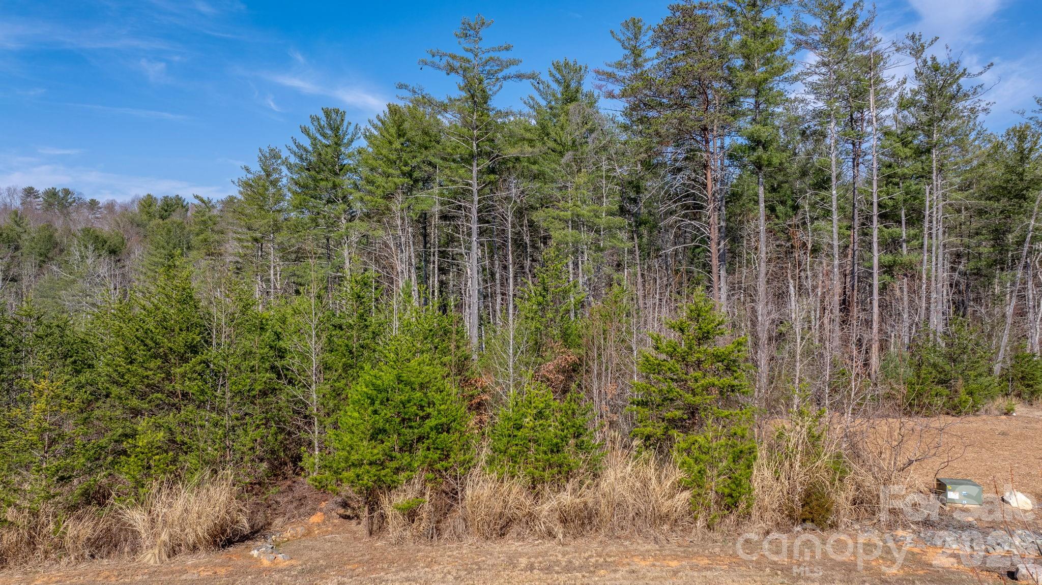 2084 Starlight Lane Morganton NC 28655
