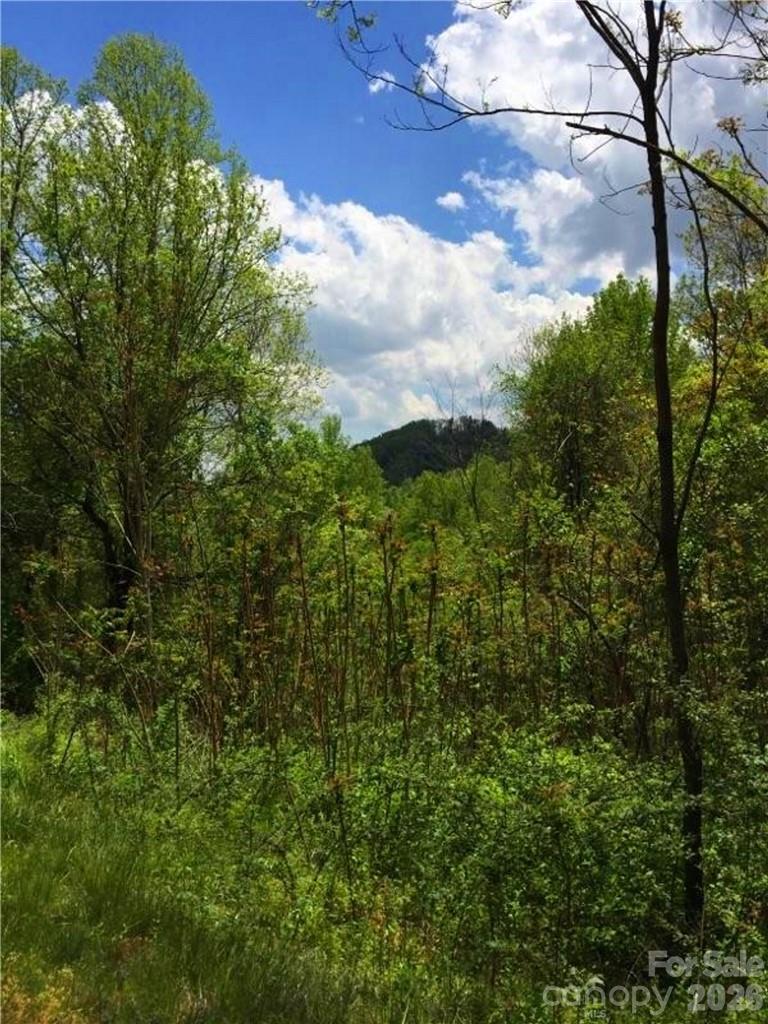 187 Starling Pass Asheville NC 28804