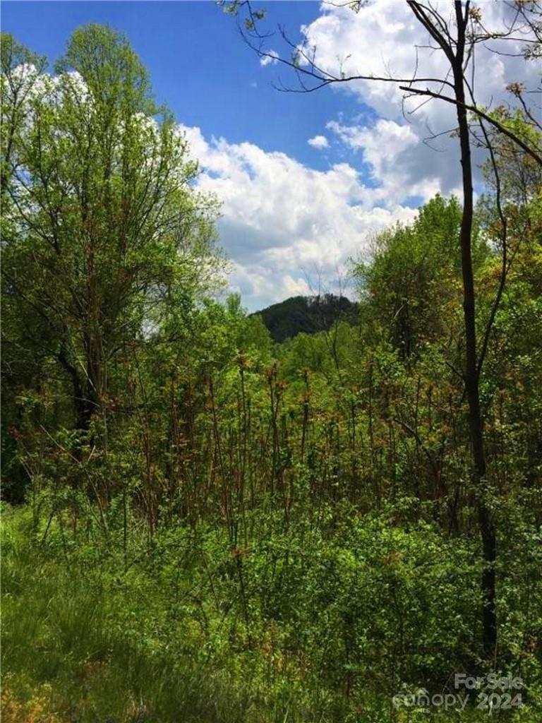 187 Starling Pass Asheville NC 28804