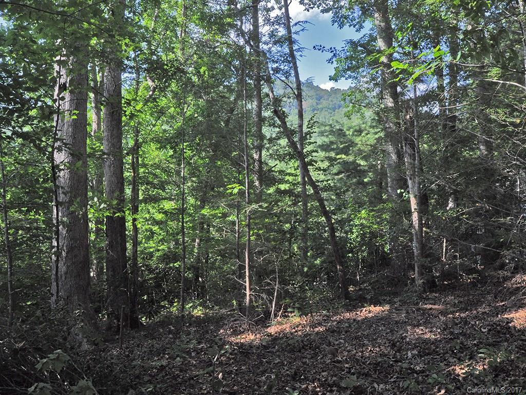158 Hillside Drive Swannanoa NC 28778