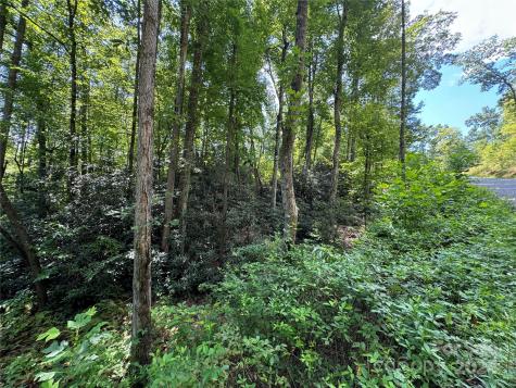 13 Cherry Cove Way Old Fort NC 28762