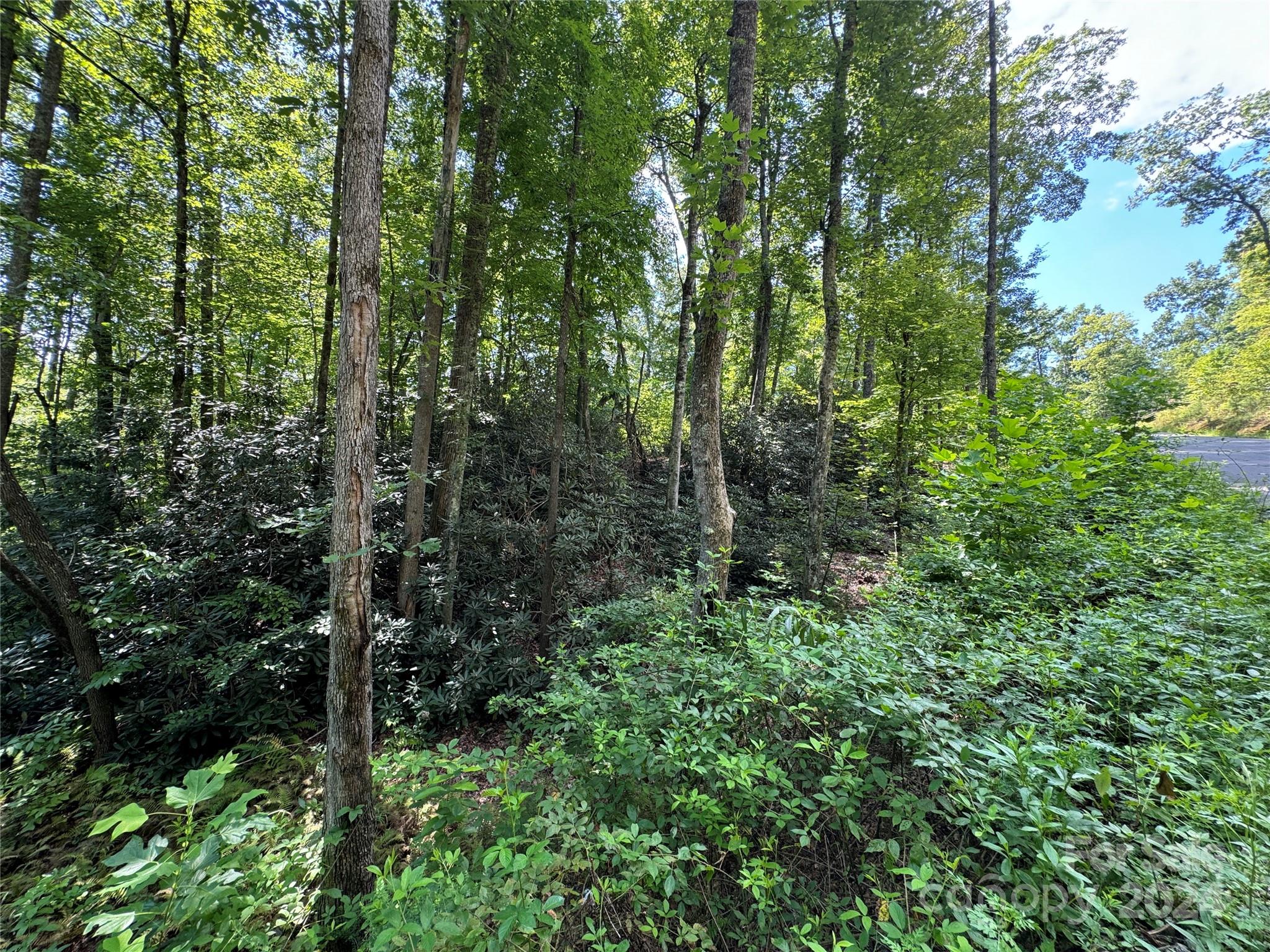 13 Cherry Cove Way Old Fort NC 28762