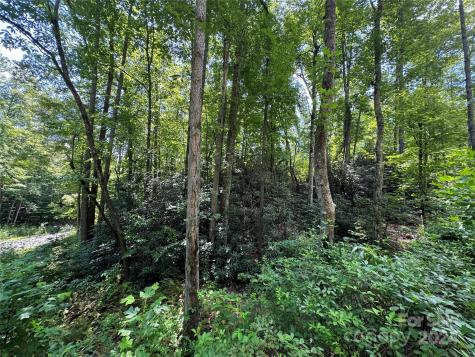 13 Cherry Cove Way Old Fort NC 28762