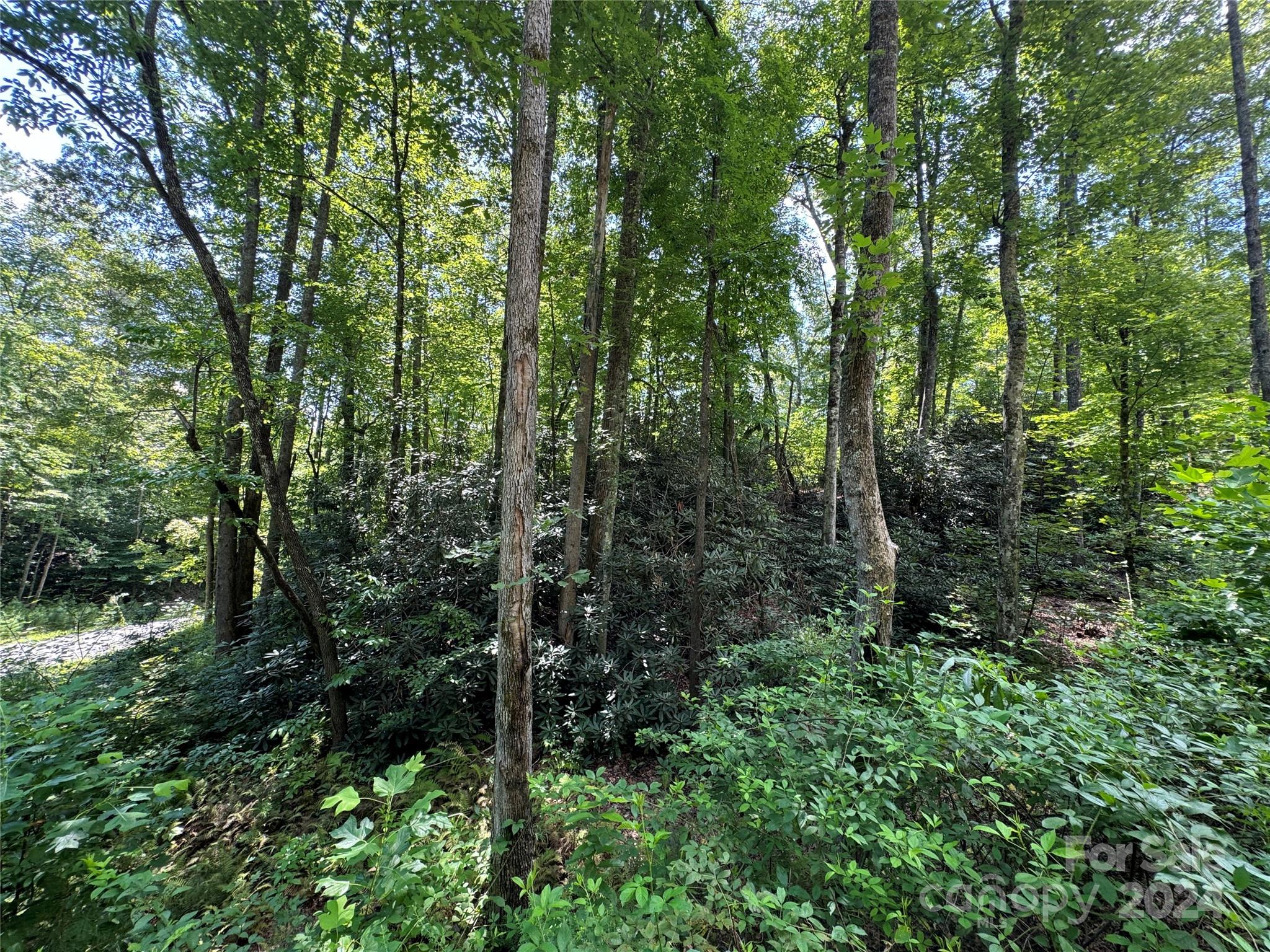 13 Cherry Cove Way Old Fort NC 28762
