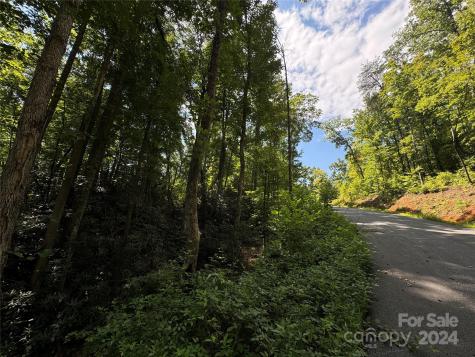 13 Cherry Cove Way Old Fort NC 28762