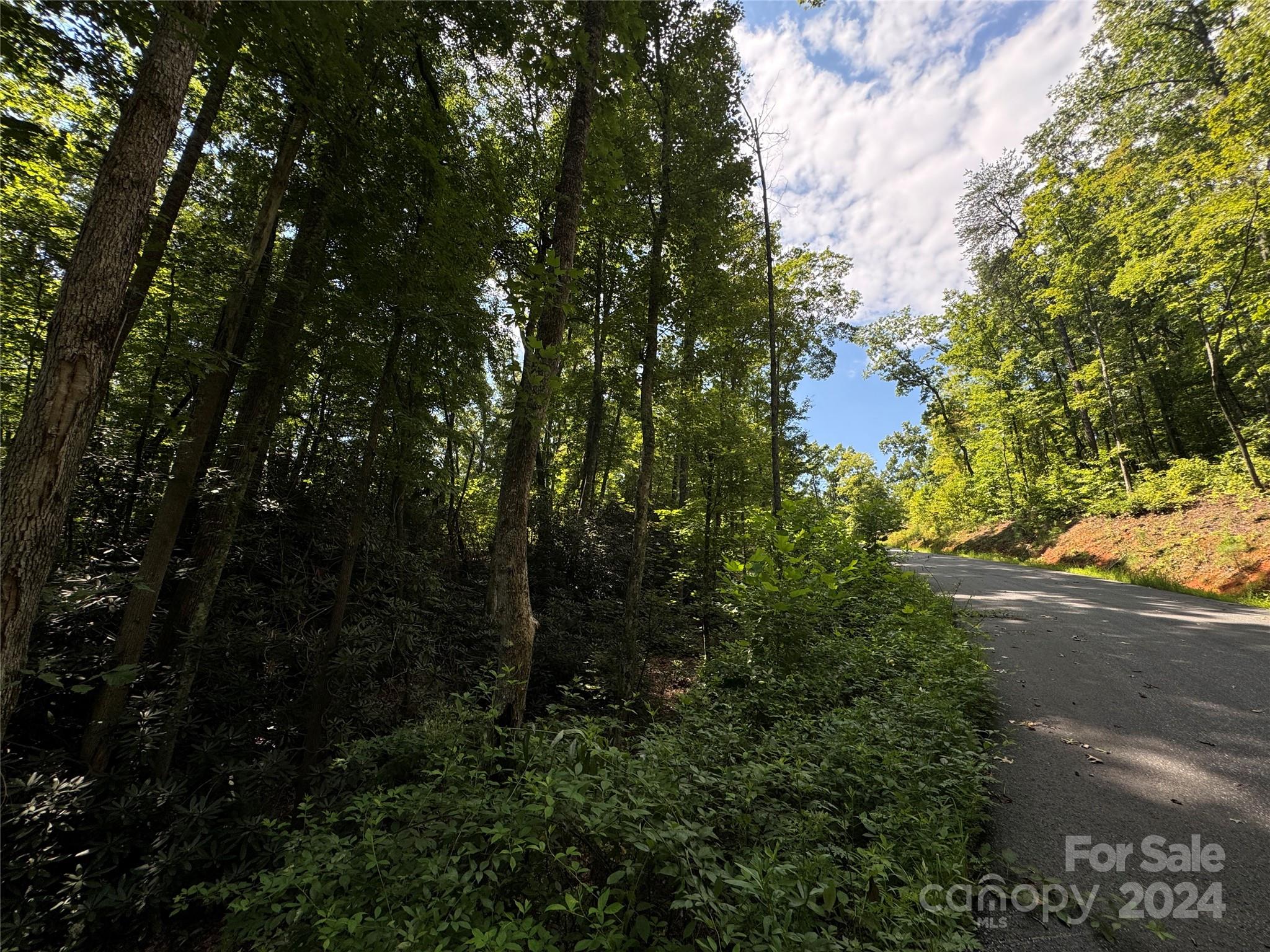 13 Cherry Cove Way Old Fort NC 28762