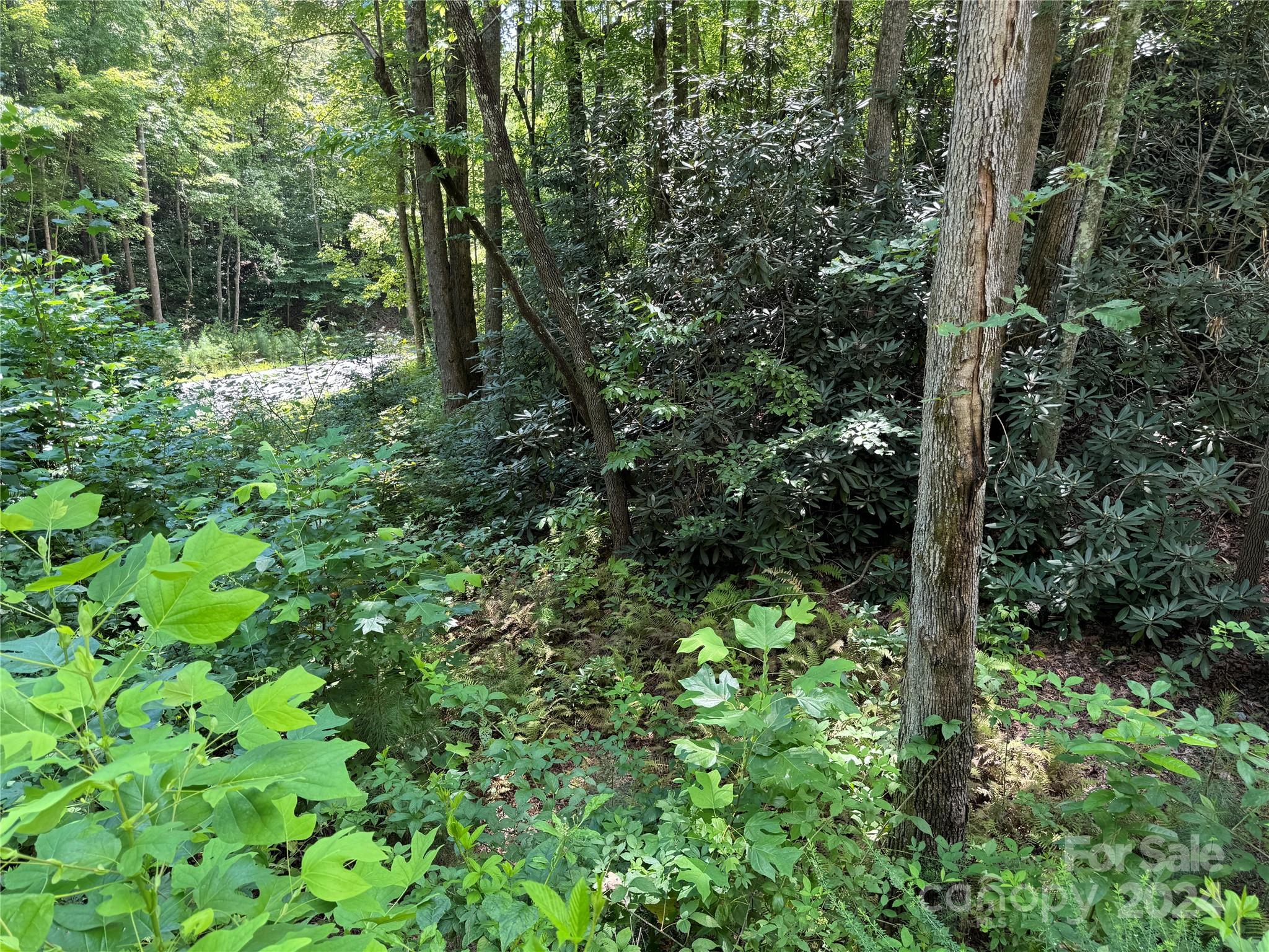 13 Cherry Cove Way Old Fort NC 28762