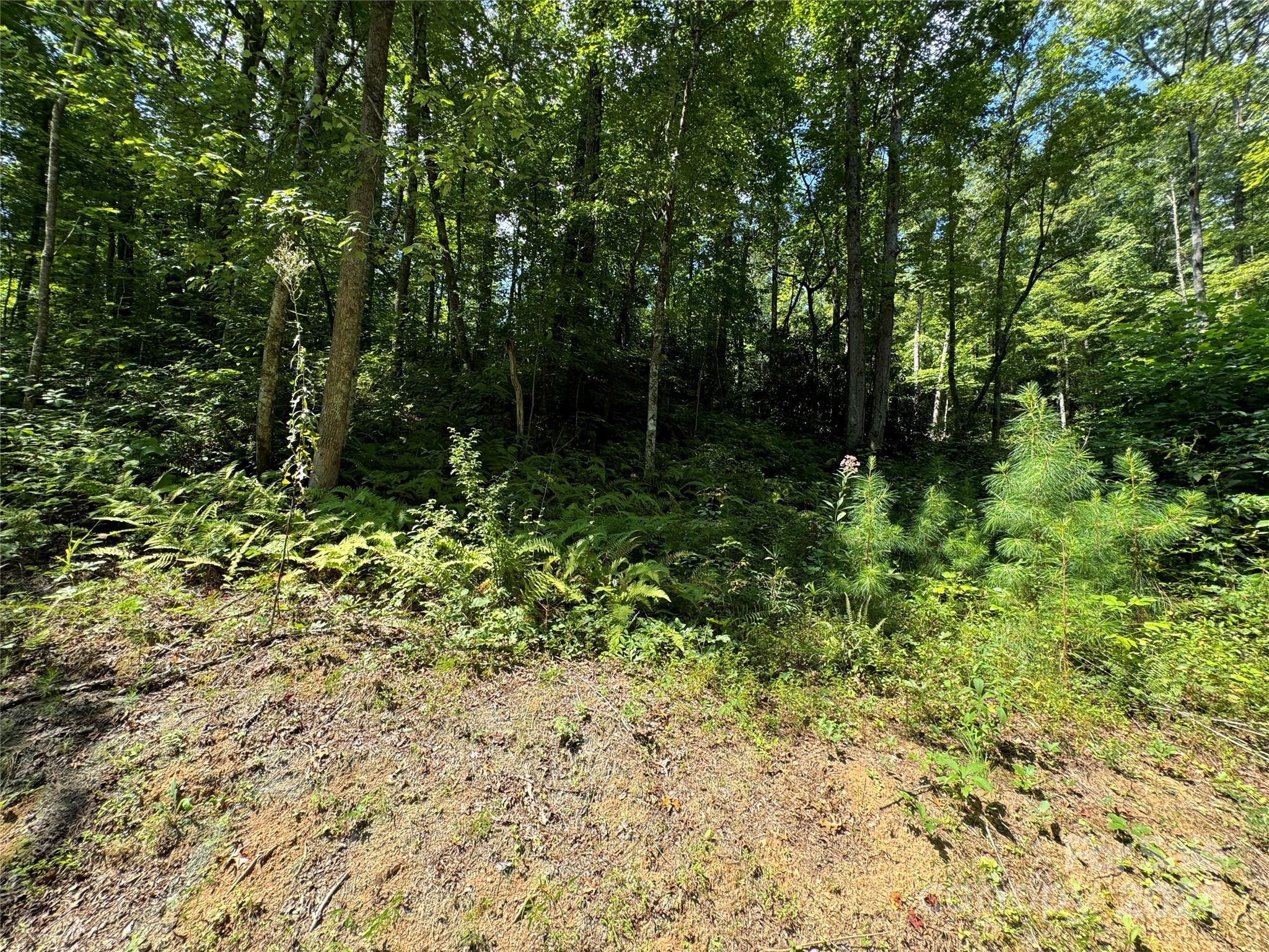 13 Cherry Cove Way Old Fort NC 28762