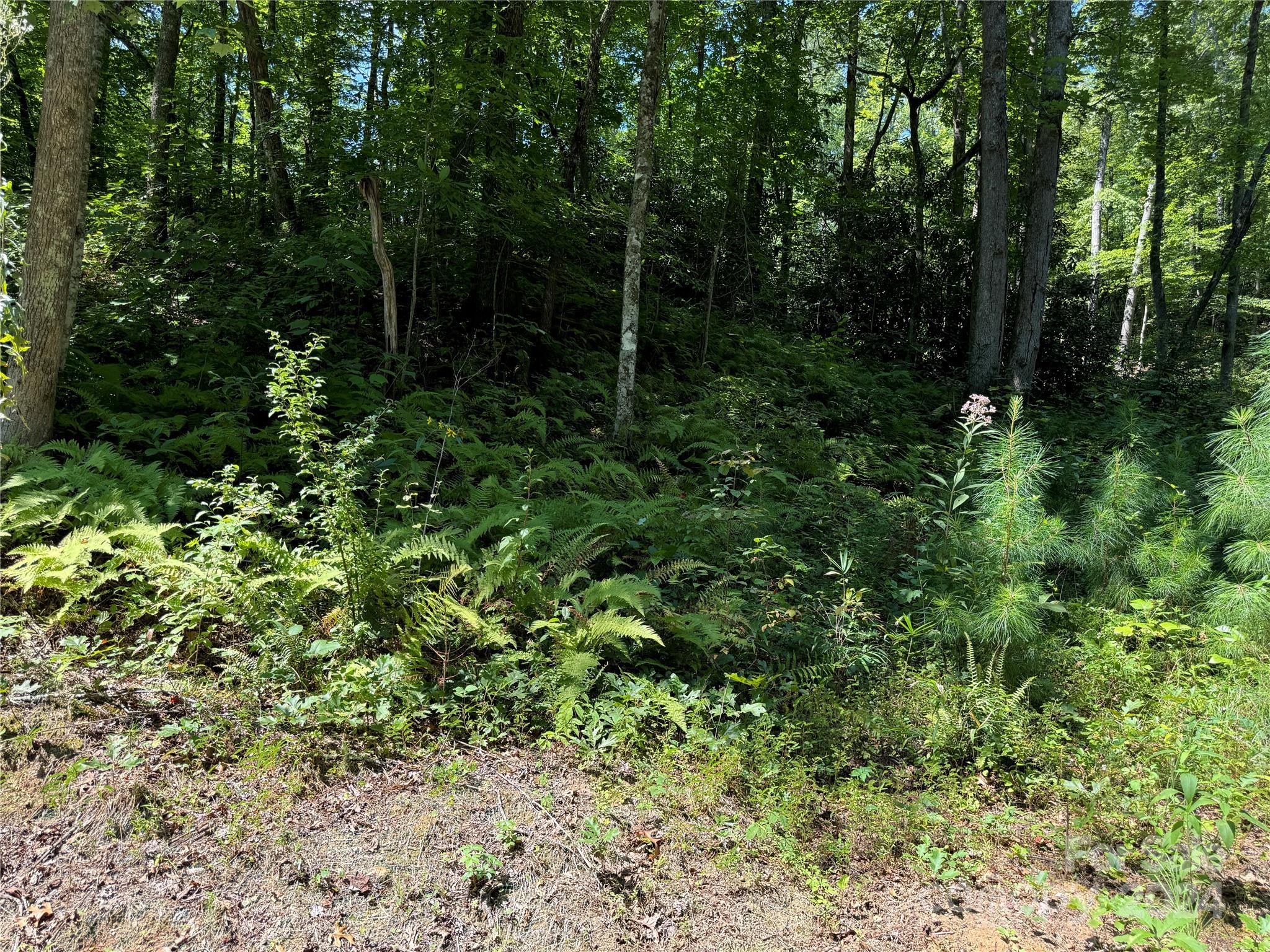 13 Cherry Cove Way Old Fort NC 28762
