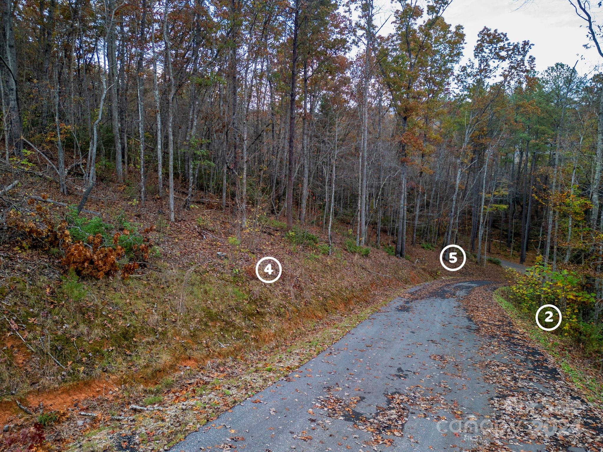 13 Cherry Cove Way Old Fort NC 28762