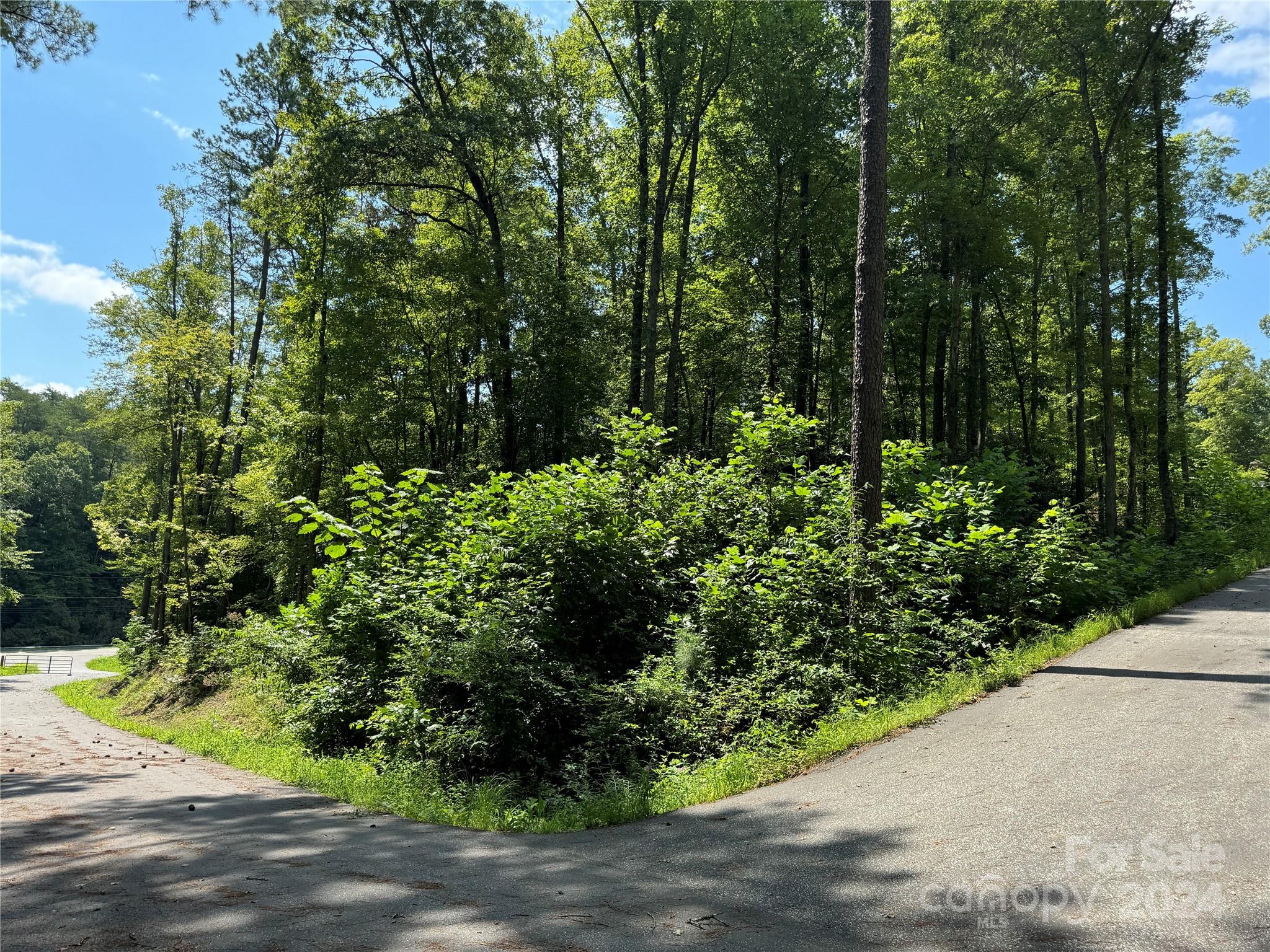 13 Cherry Cove Way Old Fort NC 28762