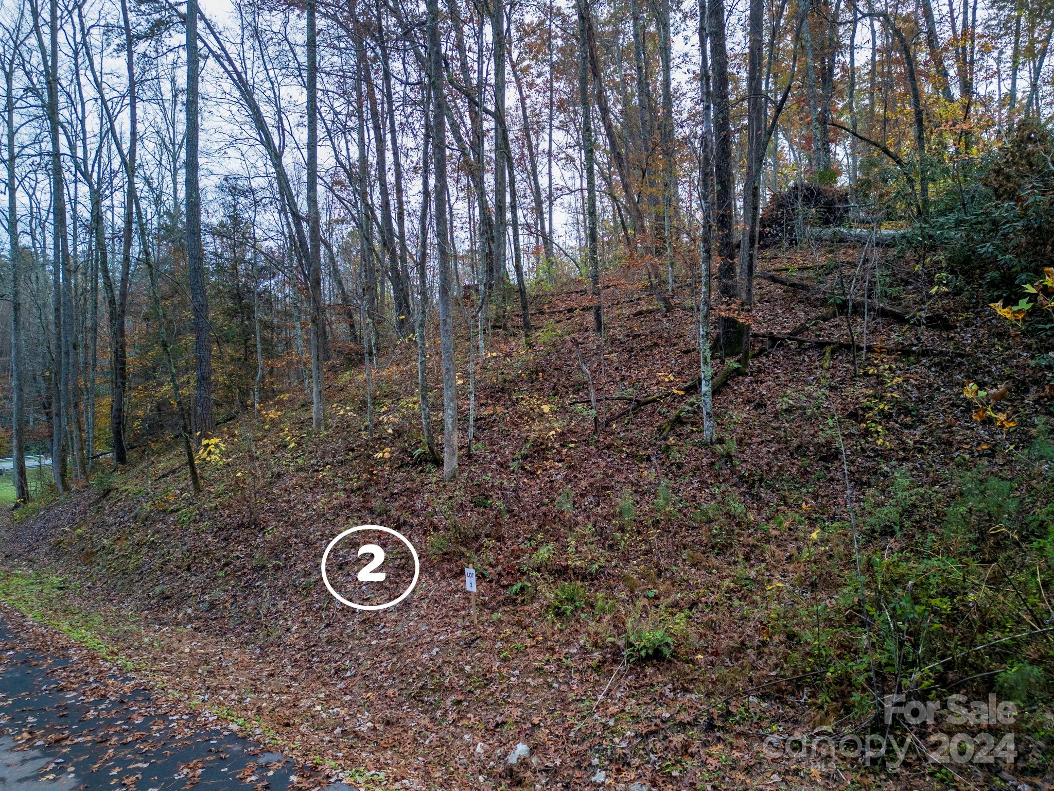 13 Cherry Cove Way Old Fort NC 28762