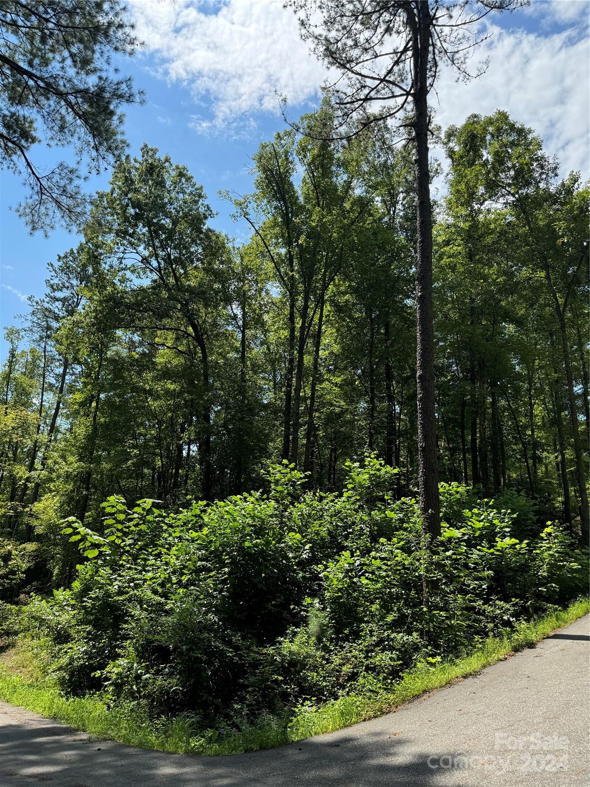 13 Cherry Cove Way Old Fort NC 28762