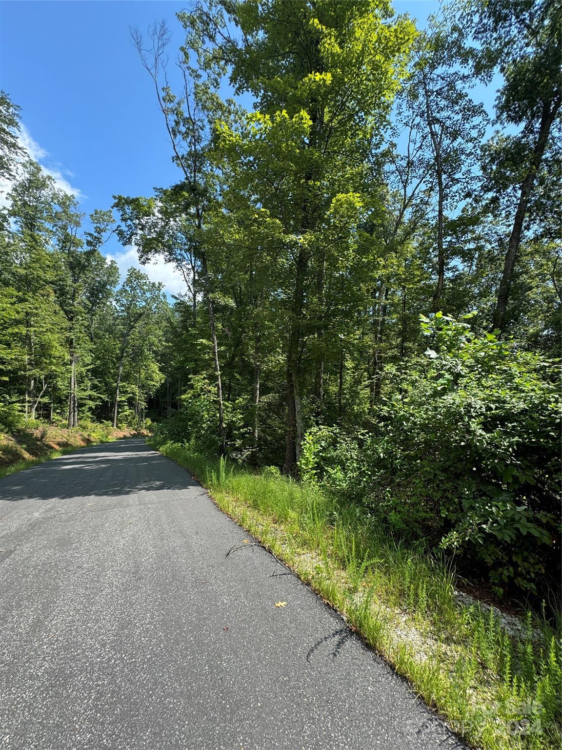 13 Cherry Cove Way Old Fort NC 28762