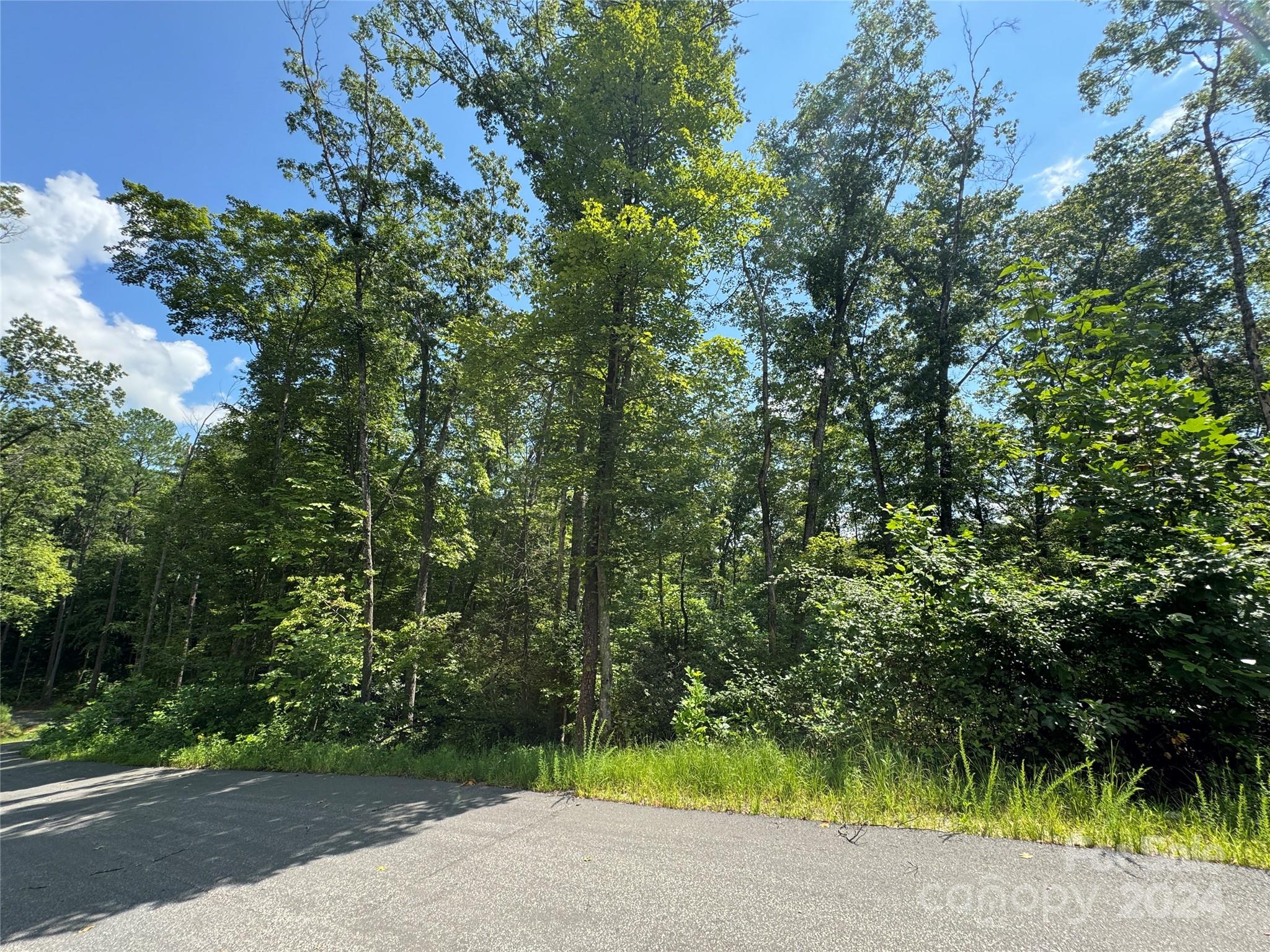 13 Cherry Cove Way Old Fort NC 28762